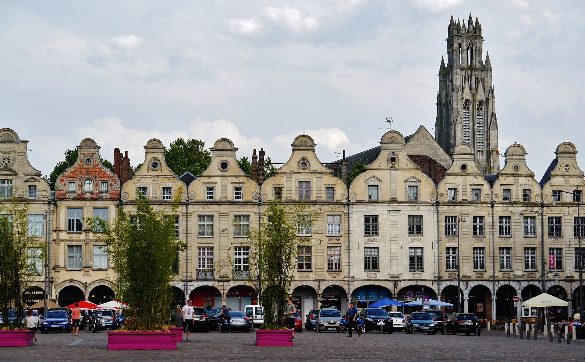 Sécurité à Arras : entre nuisibles urbains et escroqueries bancaires